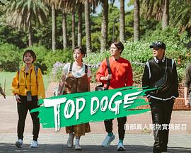 秘密研究所《TOP DOG》免费在线观看