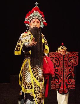 秘色传媒《袁崇焕2009》免费在线观看